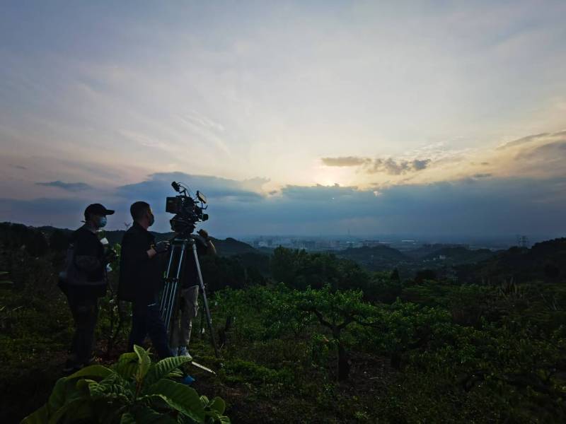 聚焦嵩县产品宣传视频拍摄公司，用专业实力铸就品牌传播传奇