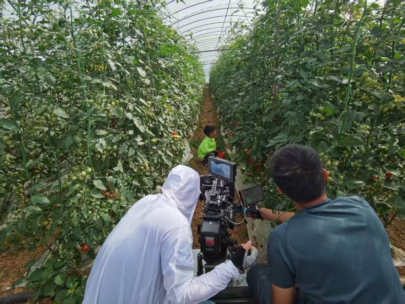 嵩县产品宣传视频拍摄公司进阶指南，助力品牌抢占传播高地